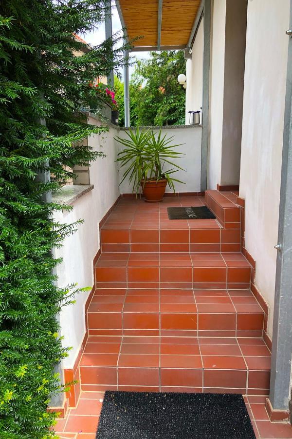 Ferienwohnung Alte Gaertnerei 塔勒 外观 照片